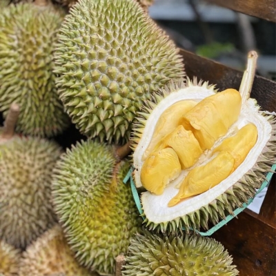 Quả sầu riêng Musaking