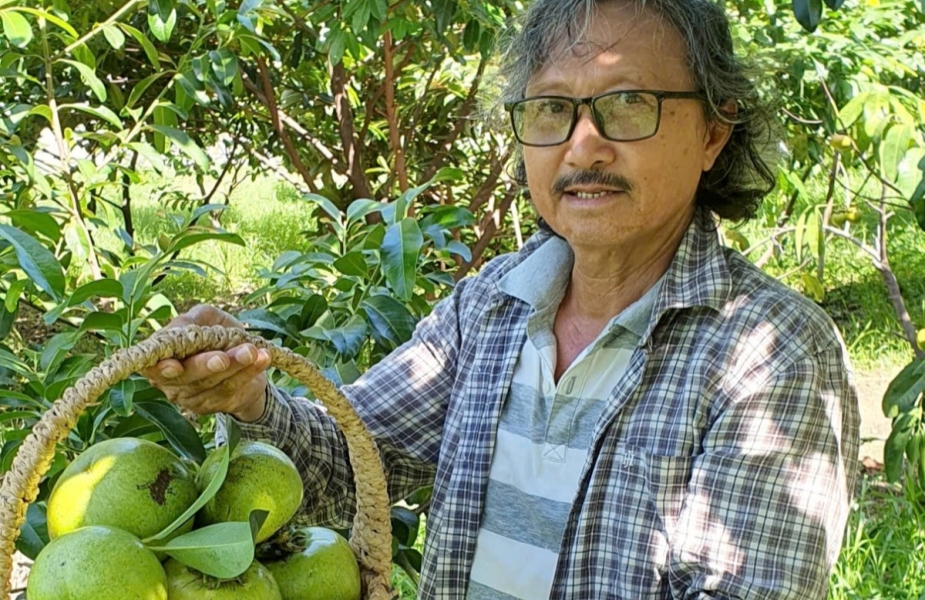 Trải Nghiệm Một Ngày Tại Chala Hill – Hái Trái, Check-in, Thưởng Thức Ngay Tại Vườn